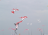 Cervia 2011-092